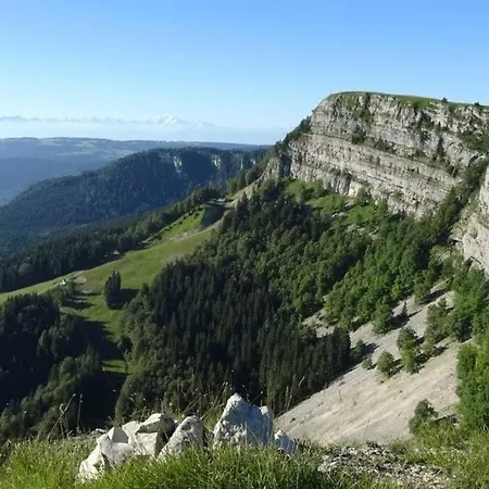 Studio « Le Petit Montagnard » Malbuisson Exterior foto