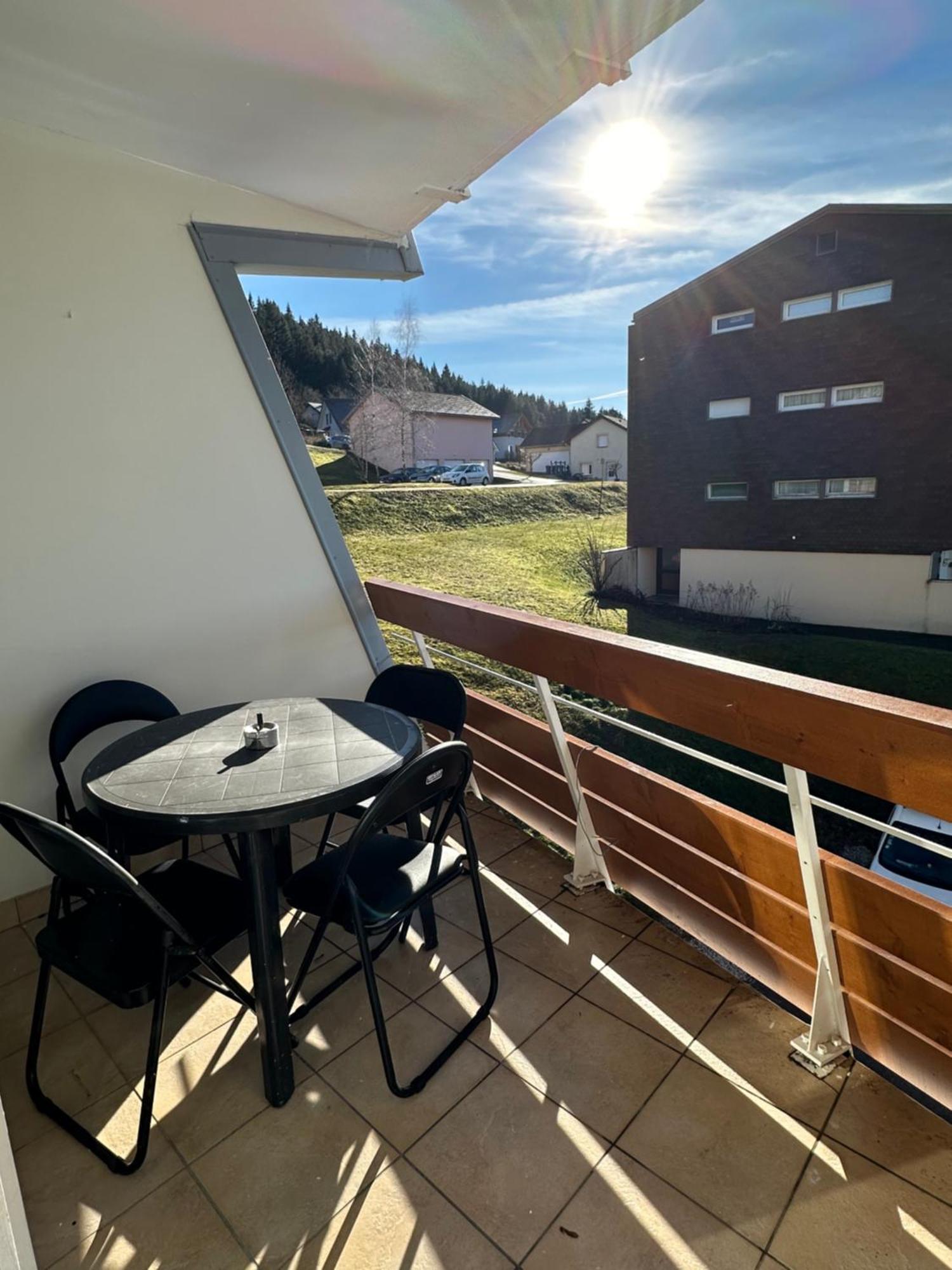 Appartement « le Petit Montagnard » *