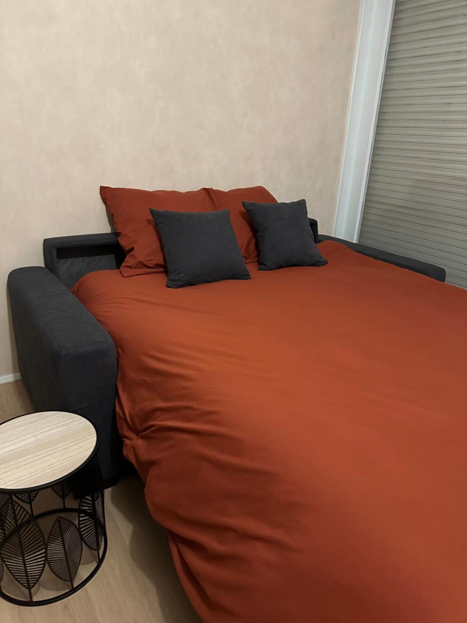 « le Petit Montagnard » Appartement
