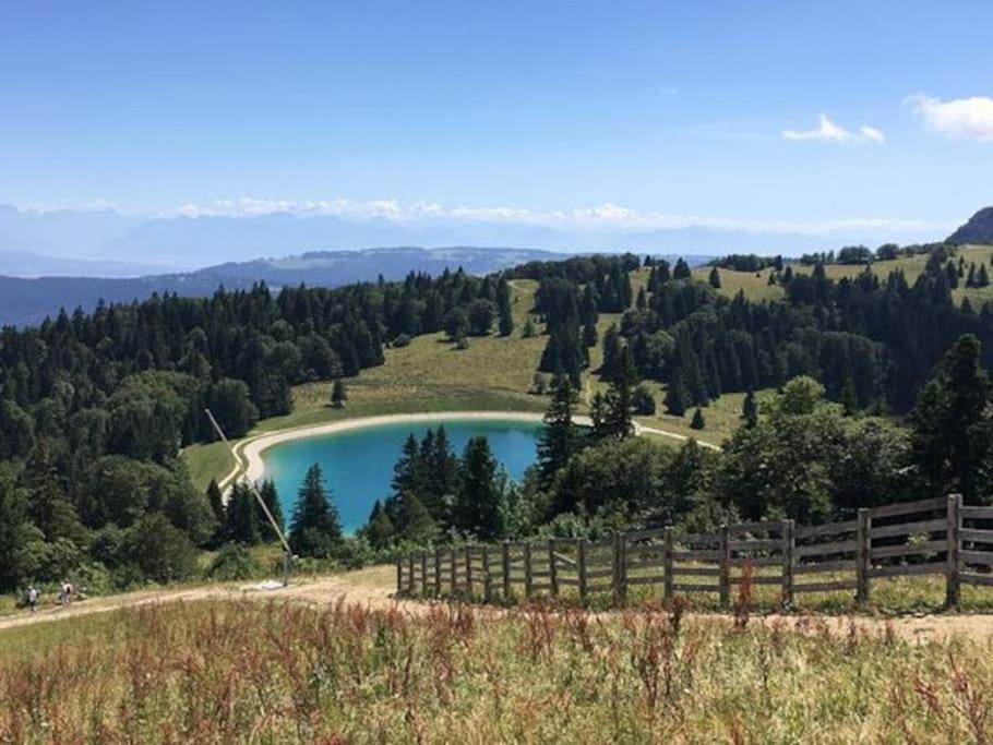 Appartement « le Petit Montagnard »