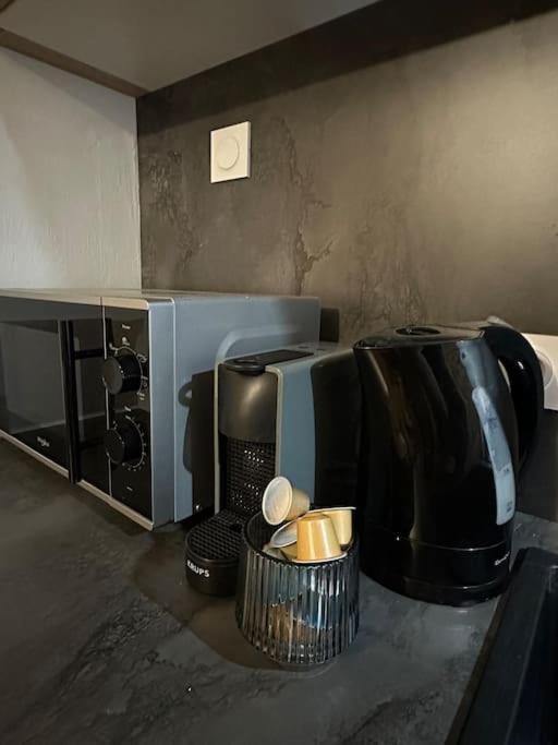 Appartement « le Petit Montagnard » Malbuisson