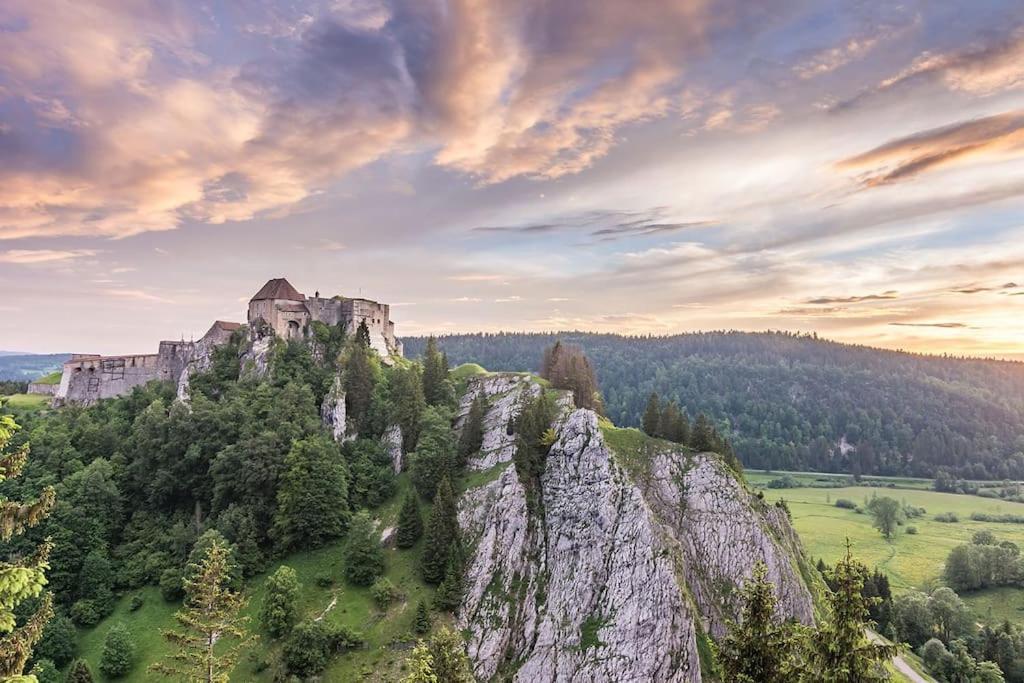« le Petit Montagnard » Appartement